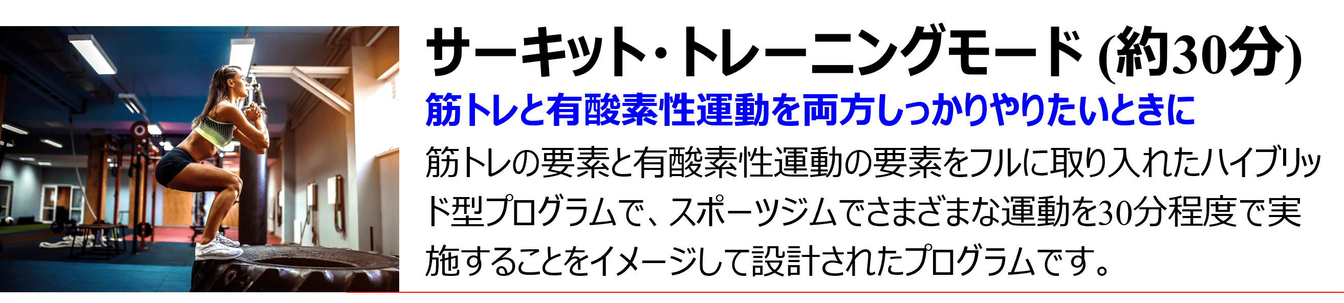 サーキット・トレーニングモード（約30分）